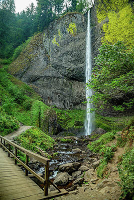Wilderness Photograph - Latourell Falls, Oregon 9 by Cindy Robinson