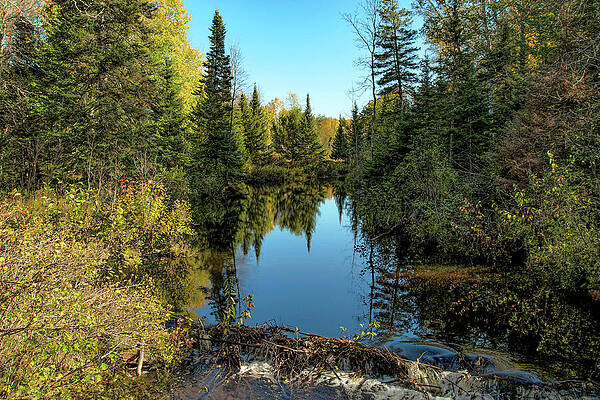 Michigan Photograph - Laughing Whitefish River by Vi Ray
