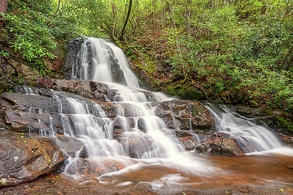 Spring Wall Art featuring the photograph Laurel Falls In Spring by Michael Collins