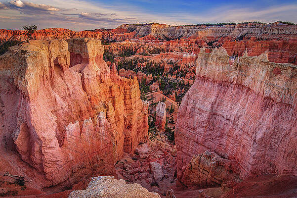 Scenic Photograph - Layered Gates - Bryce Canyon National Park, Utah by Abbie Warnock