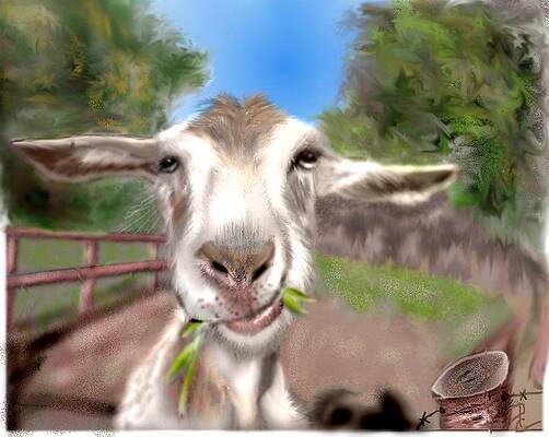 Mixed Media - Le Goat by Pamela Calhoun