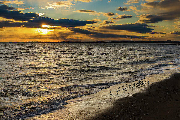 Sky Wall Art featuring the photograph Leader Of The Pack by Rich Kovach