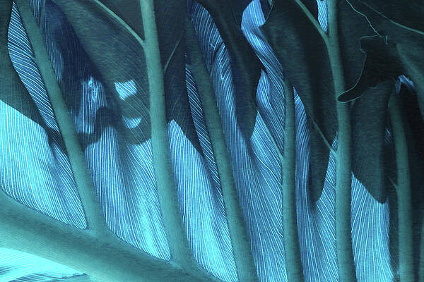 Photograph - Leaf Detail 1 - Cyan by Ron Berezuk