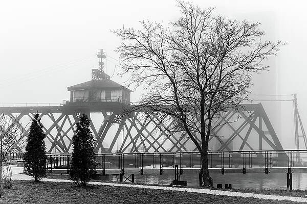 Tree Wall Art featuring the photograph Leafless Tree And Trestle Bridge by Craig A Walker