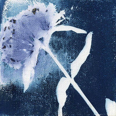 Photograph - Leafy Zinnia Stem by Elizabeth Reich