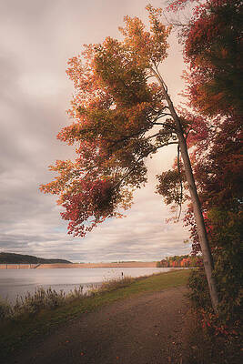 Fall Photograph - Leaning Into Autumn by Jason Fink