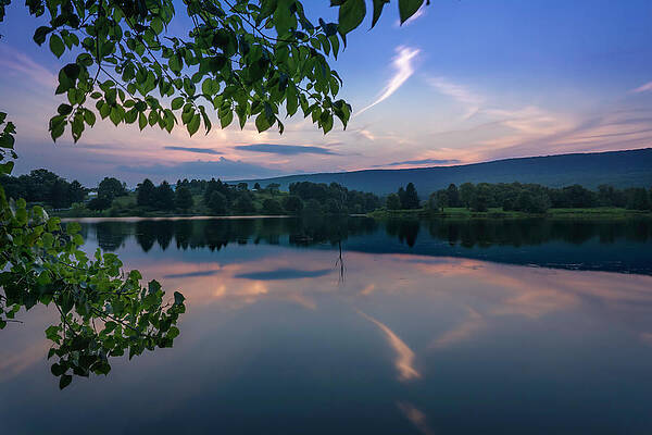 Reflection Wall Art featuring the photograph Leaser Lake Dusk Under The Trees by Jason Fink