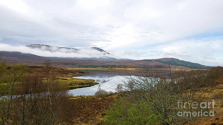 Scotland Wall Art featuring the photograph Ledgowan Forest - Ledgowan, Highland Scotland by Jeff Saunders
