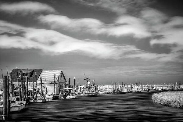 Wall Art featuring the photograph Leeds Point NJ BW by Susan Candelario