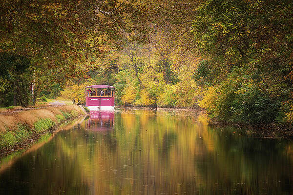 Wall Art featuring the photograph Lehigh Canal Fall Foliage by Jason Fink