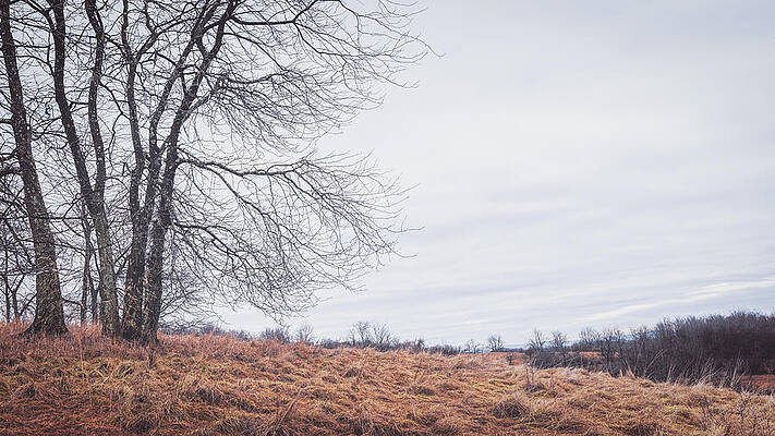 Landscape Photograph - Lehigh Valley January Landscape by Jason Fink