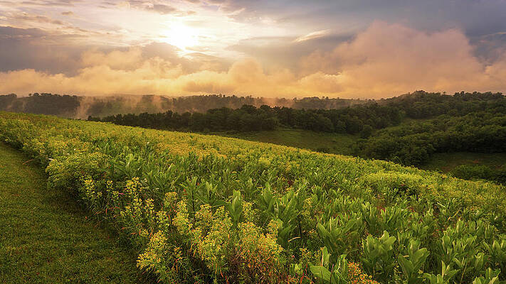 Wall Art featuring the photograph Lehigh Valley Late Afternoon Storms by Jason Fink