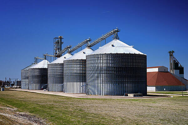 Wall Art featuring the photograph Lena Elevator by Steven Nelson