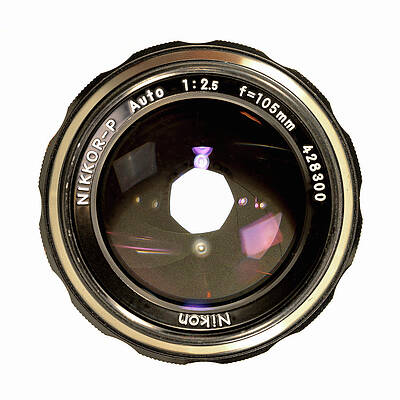 Wall Art featuring the photograph Lens Portrait by Steven Nelson