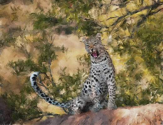 Painting - Leopard Watching by Gary Arnold