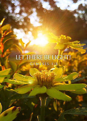 Country Wall Art featuring the photograph Let There Be Light by Greg Lane
