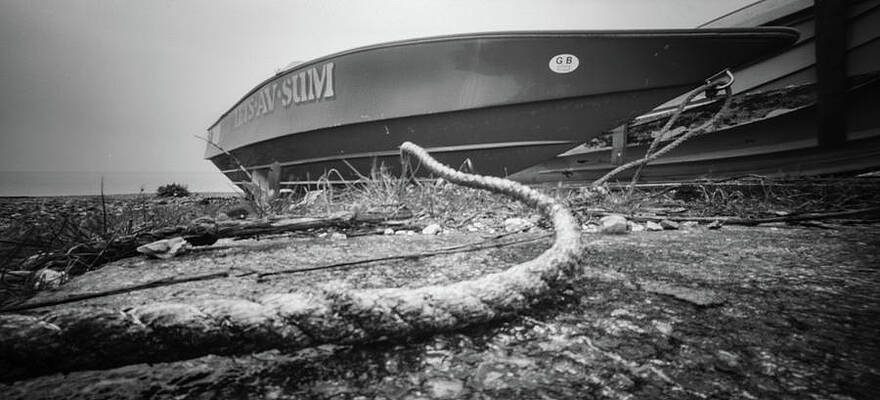 Photograph - Lets-Av-Sum by Will Gudgeon