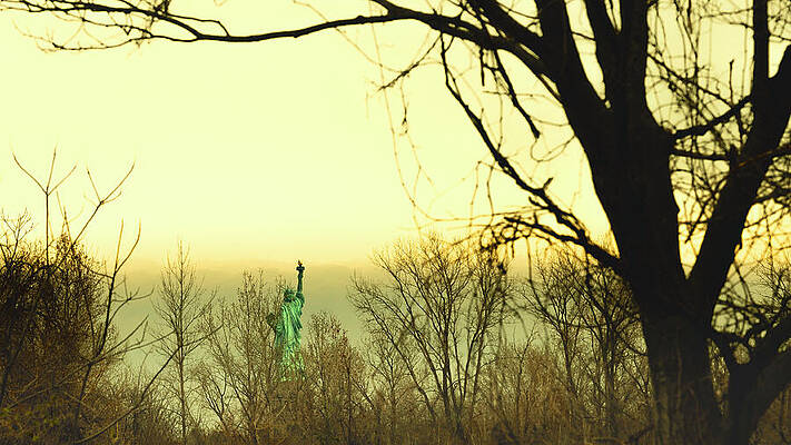Tree Photograph - Liberty's Light by David Fountain