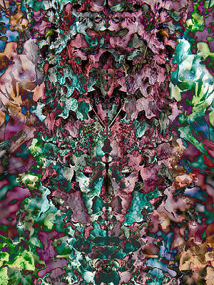 Abstract Photograph - Lichen On A Tree Mirrored by Bruce Block