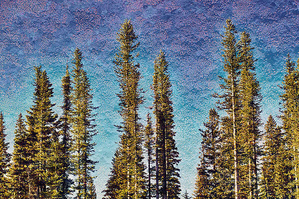 Wall Art featuring the digital art Lichen Textured Trees by Bruce Block