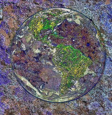 Wall Art featuring the photograph Lichen-ized Earth by Bruce Block