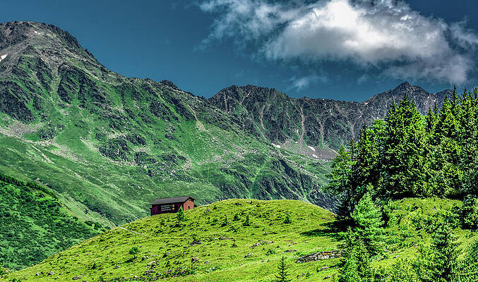 Vibrant Wall Art featuring the photograph Life In The Beautiful Swiss Alps by Marcy Wielfaert