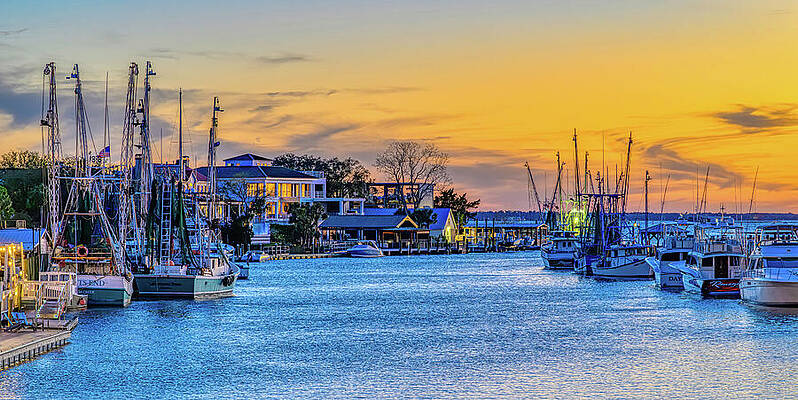 Wall Art featuring the photograph Life On The Creek by Maryanne Keeling