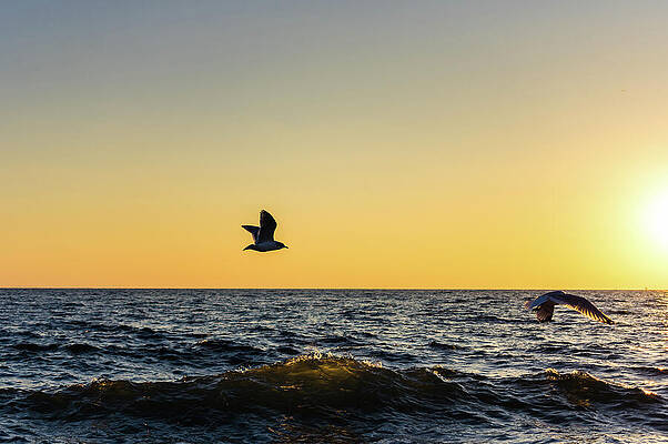 Sky Wall Art featuring the photograph Lift by Rich Kovach