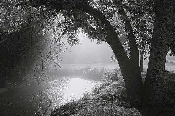 Light Wall Art featuring the photograph Light On Jordan Creek by Jason Fink