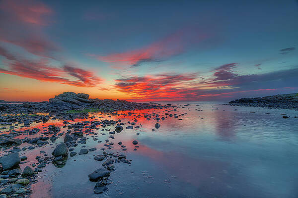 Photograph - Light, Warmth, Love by Penny Polakoff