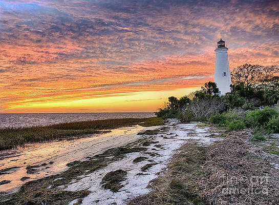 Inspirational Photograph - Lighthouse In St Marks National Wildlife Refuge by Jimmy Pappas