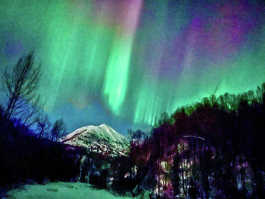 Wilderness Wall Art featuring the photograph Lights Over Little Su by Harry Banks