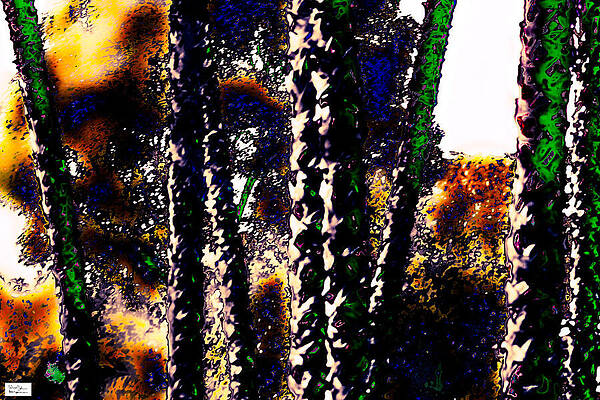 Wall Art featuring the photograph L.A.- Lil Dif by Alex John Bergerman