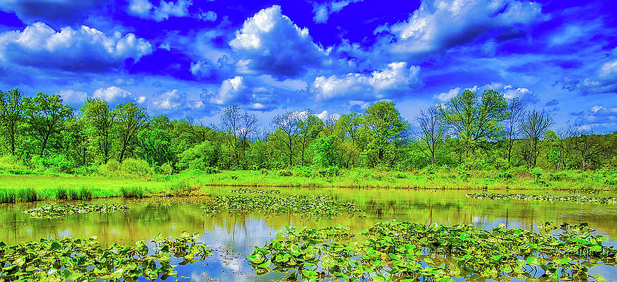 Sky Wall Art featuring the photograph Lilly Pond by Jonny D