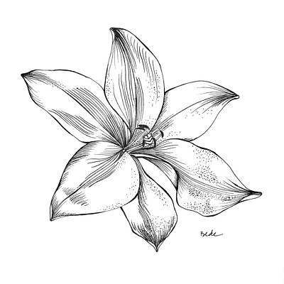 Wall Art featuring the drawing Lily I by Catherine Bede