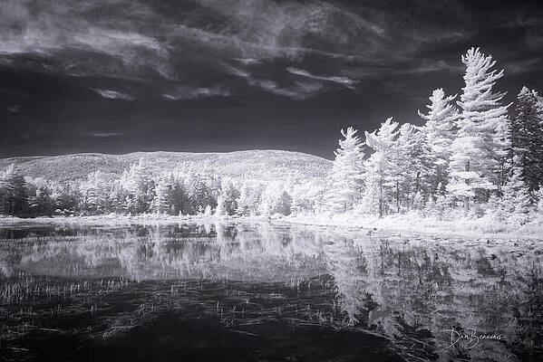 Serene Infrared Forest Reflection Photograph
