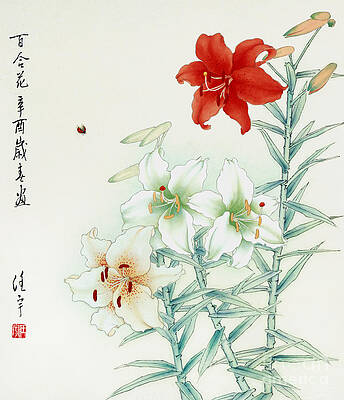 Garden Painting - Lily by Ren Yu