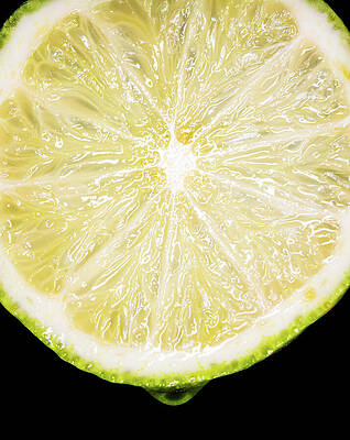 Close-Up of Lemon Slice Wall Art