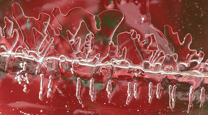 Abstract Photograph - Line Through The Ice by Jean Noren