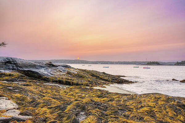 Maine Wall Art featuring the photograph Linekin Bay Sunrise by Donna Twiford