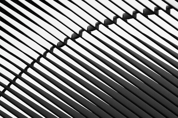 Abstract Wall Art featuring the photograph Lines Of Oculus by Elvira Peretsman