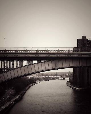 Photograph - Link by Canessa Thomas