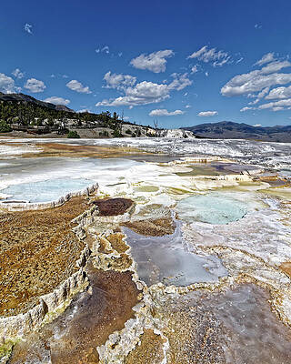 Vibrant Photograph - Liquid Stairway -- Main Terrace At Mammoth Hot Springs In Yellowstone National Park, Wyoming by Darin Volpe