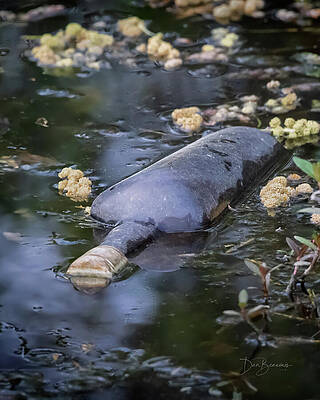 Abstract Photograph - Liquor Bottle #8846 by Dan Beauvais