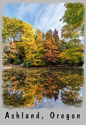 Tree Wall Art featuring the photograph Lithia Park, Ashland-2 by Diane Moller
