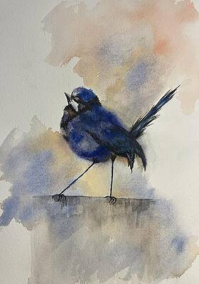 Serene Painting - Little Ballerina A Fairy Wren by Judy Strickland