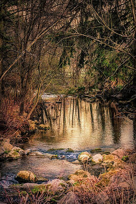 Pennsylvania Wall Art featuring the mixed media Little Cedar Creek Oil by Jason Fink