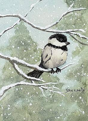 Nature Painting - Little Chickadee In The Snow by Judy Strickland