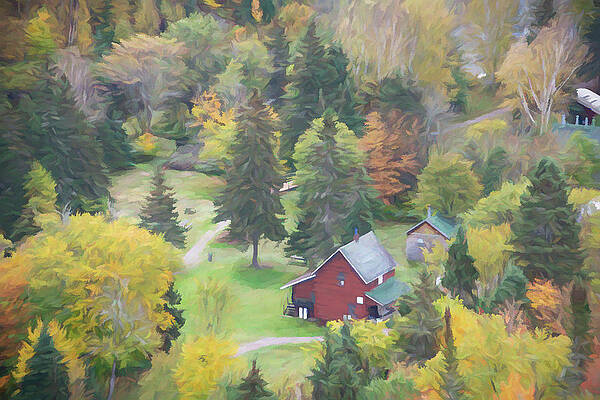 Wilderness Wall Art featuring the photograph Little House In A Forest by John Twynam