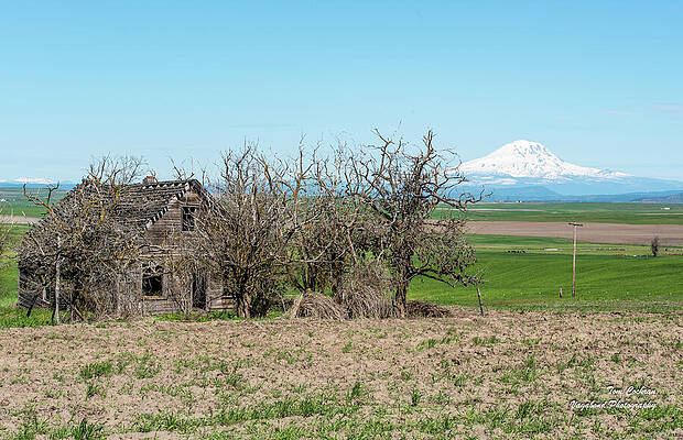 May Photograph - Little House On The Klickitat Prairie by Tom Cochran